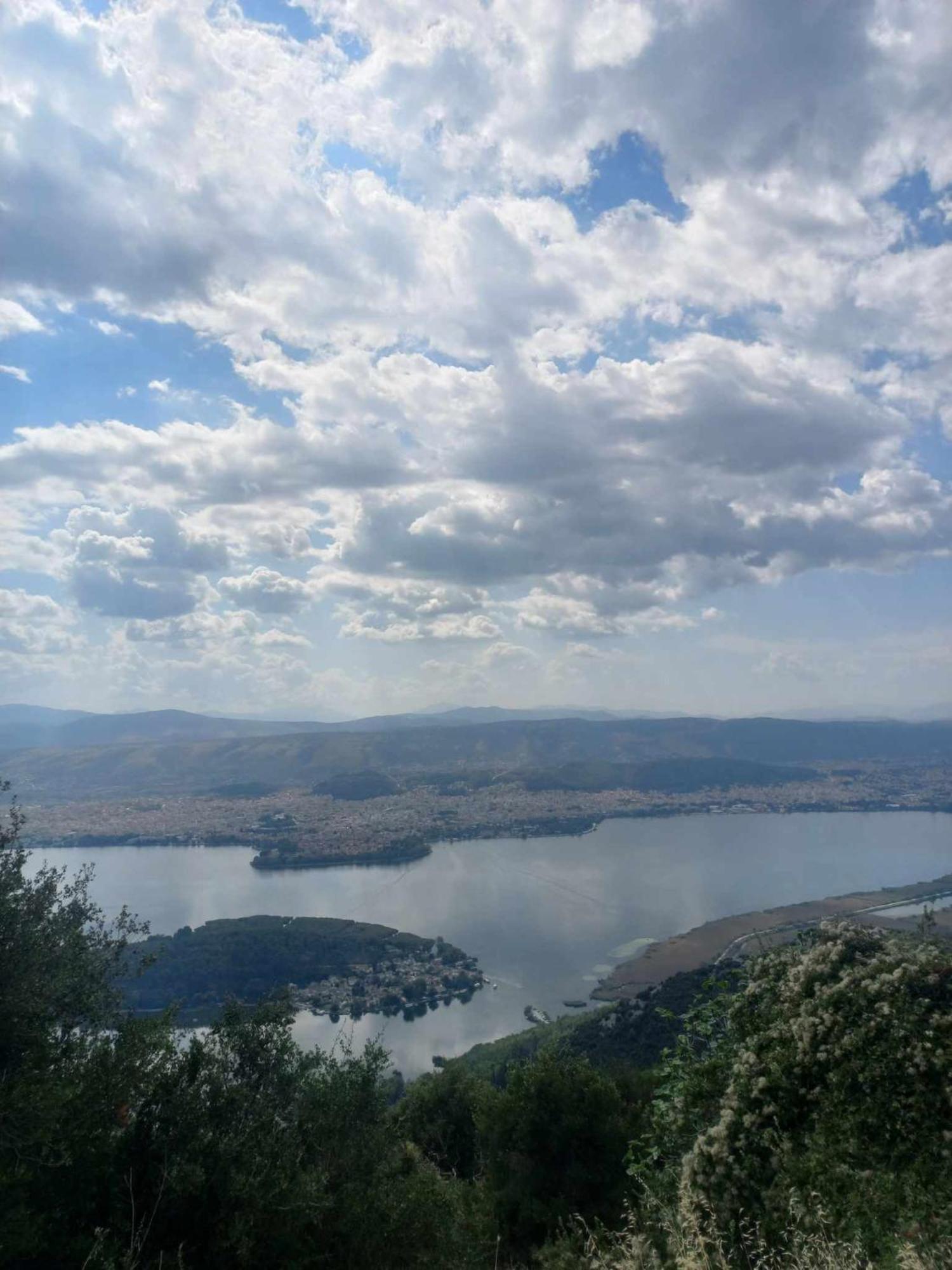 Arktos Ioannina
