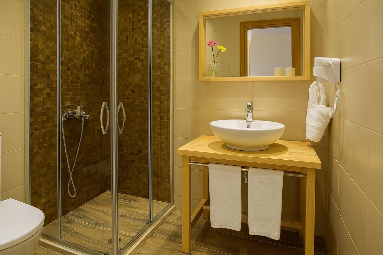 Arktos Hotel Ioannina